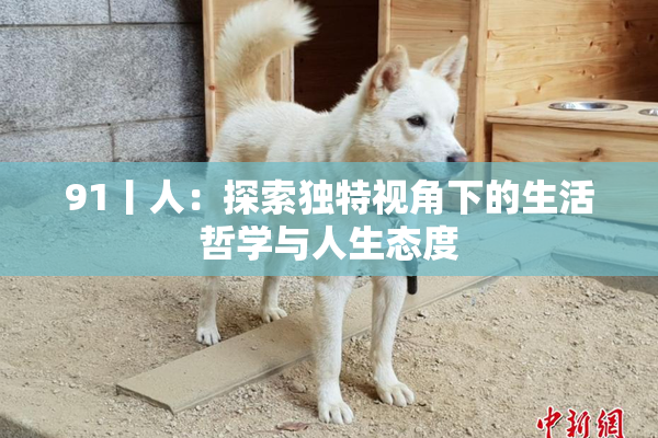 91丨人：探索独特视角下的生活哲学与人生态度