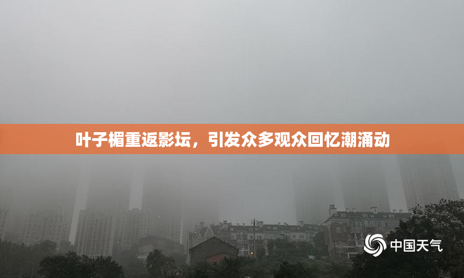 叶子楣重返影坛，引发众多观众回忆潮涌动