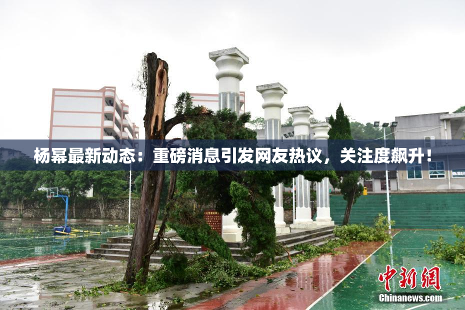 杨幂最新动态：重磅消息引发网友热议，关注度飙升！
