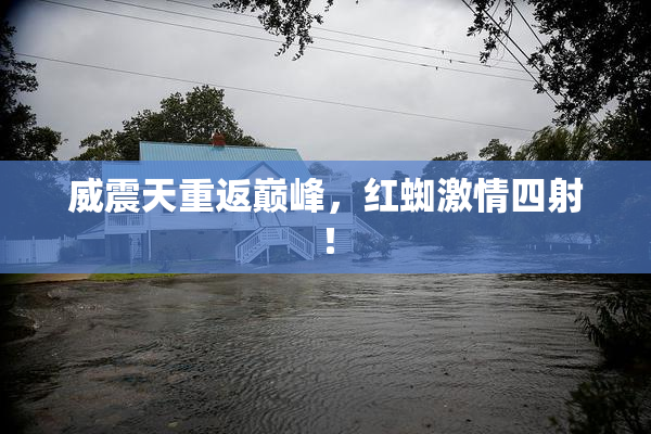 威震天重返巅峰，红蜘激情四射！