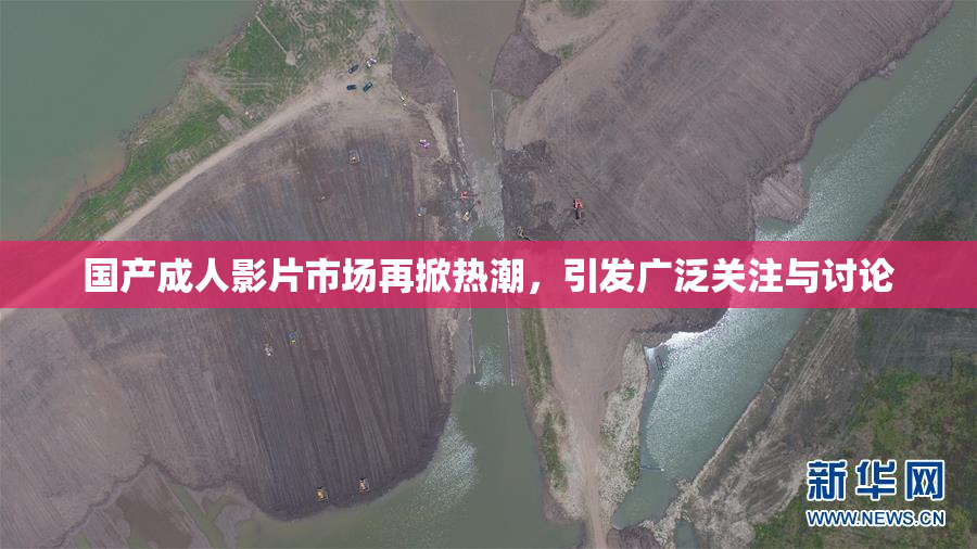国产成人影片市场再掀热潮，引发广泛关注与讨论