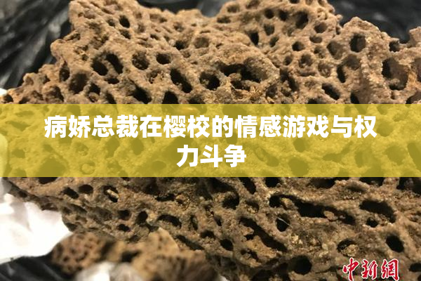 病娇总裁在樱校的情感游戏与权力斗争