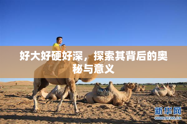 好大好硬好深，探索其背后的奥秘与意义