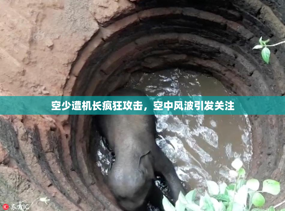 空少遭机长疯狂攻击，空中风波引发关注