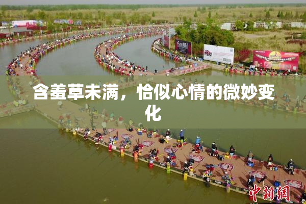 含羞草未满，恰似心情的微妙变化