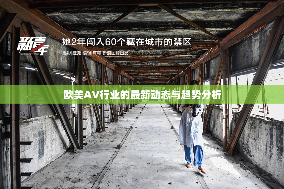 欧美AV行业的最新动态与趋势分析