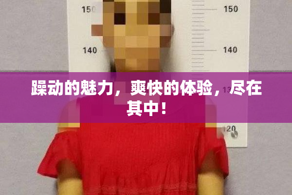 躁动的魅力，爽快的体验，尽在其中！