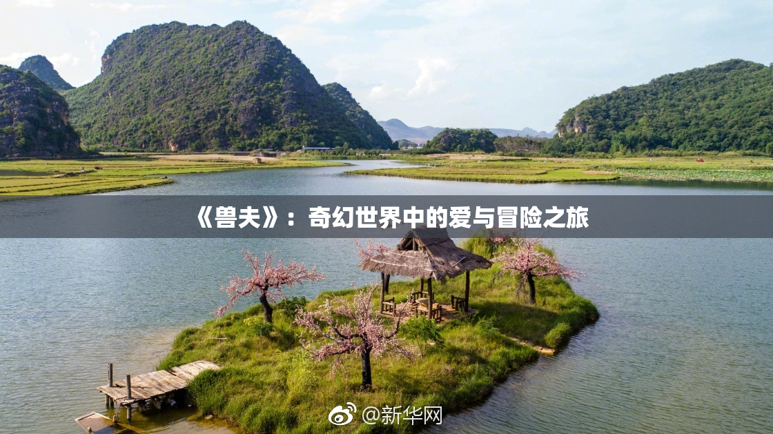 《兽夫》：奇幻世界中的爱与冒险之旅
