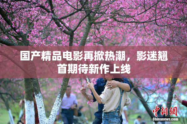 国产精品电影再掀热潮，影迷翘首期待新作上线