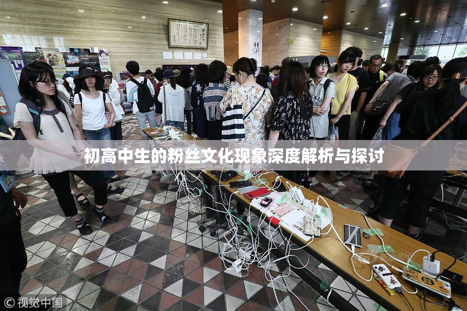 初高中生的粉丝文化现象深度解析与探讨