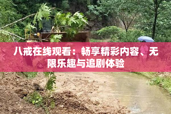 八戒在线观看：畅享精彩内容、无限乐趣与追剧体验
