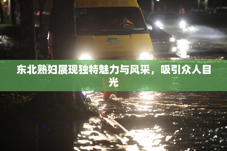 东北熟妇展现独特魅力与风采，吸引众人目光