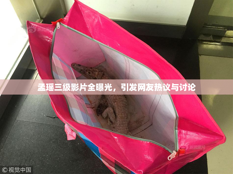 孟瑶三级影片全曝光，引发网友热议与讨论