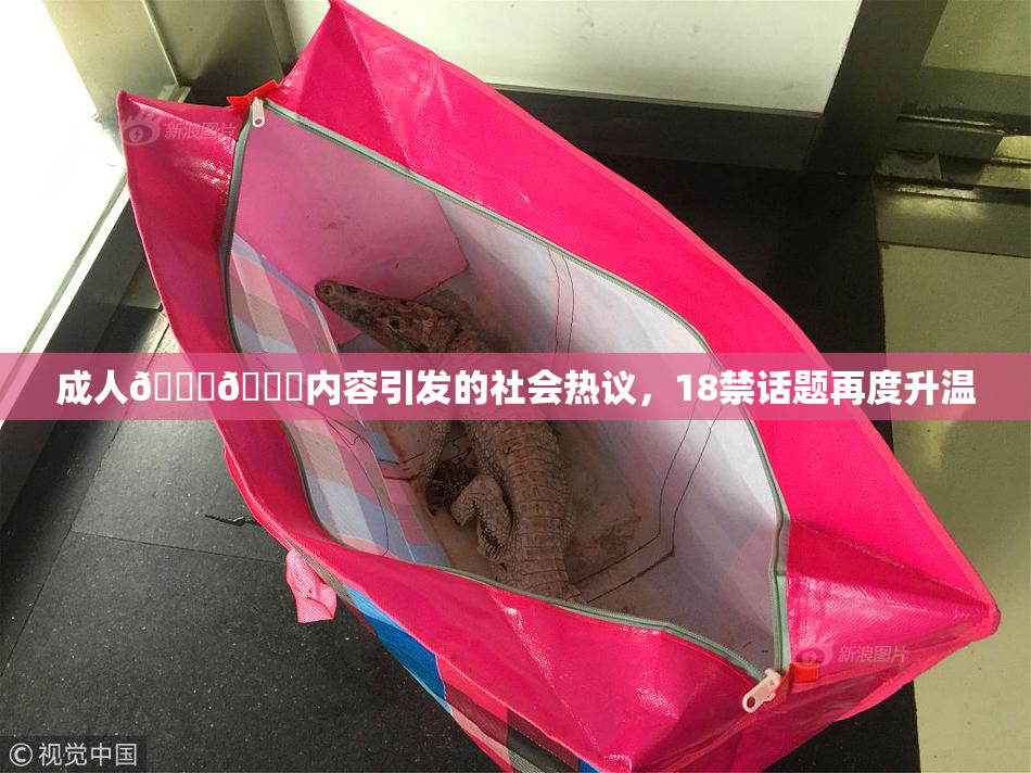 成人🍆🍑内容引发的社会热议，18禁话题再度升温