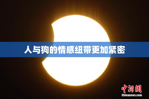 人与狗的情感纽带更加紧密