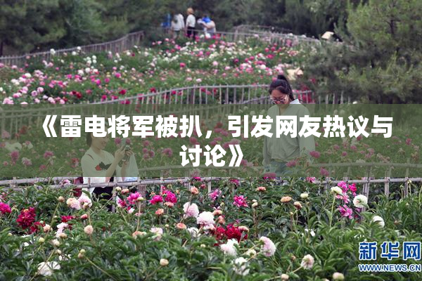 《雷电将军被扒，引发网友热议与讨论》
