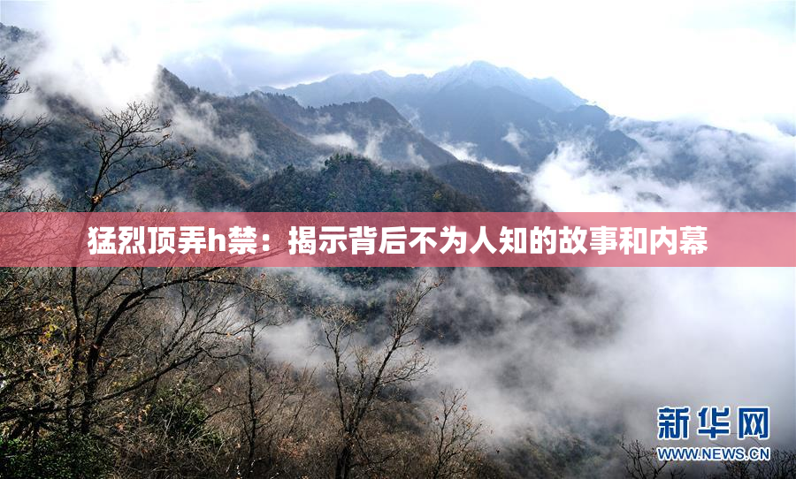 猛烈顶弄h禁：揭示背后不为人知的故事和内幕