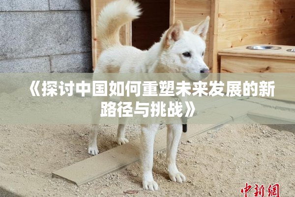 《探讨中国如何重塑未来发展的新路径与挑战》