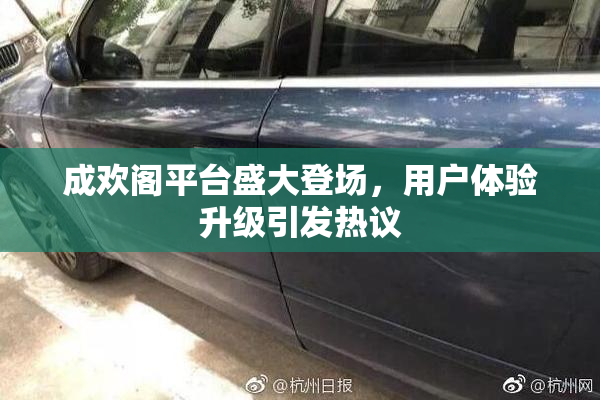 成欢阁平台盛大登场，用户体验升级引发热议
