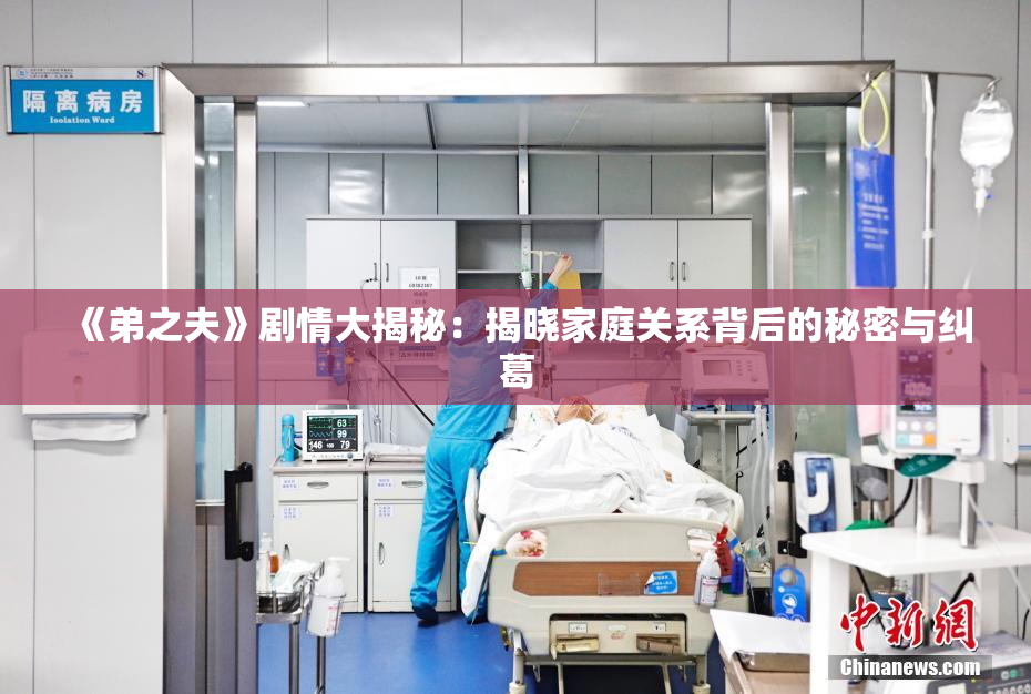 《弟之夫》剧情大揭秘：揭晓家庭关系背后的秘密与纠葛