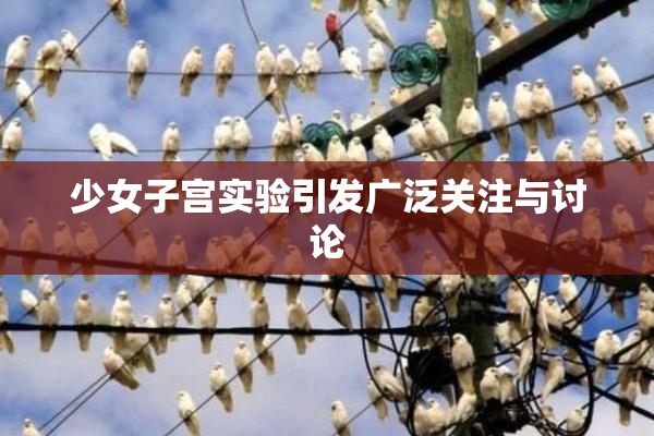 少女子宫实验引发广泛关注与讨论