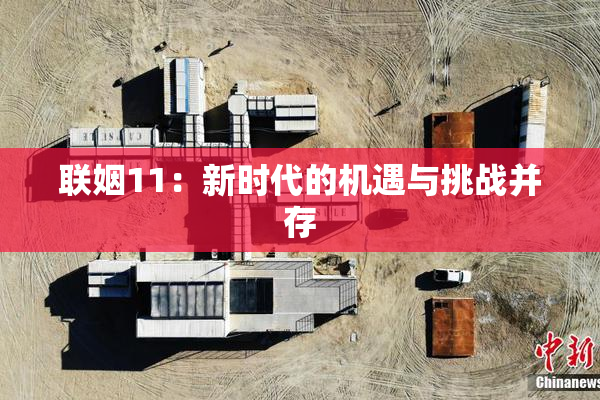 联姻11：新时代的机遇与挑战并存