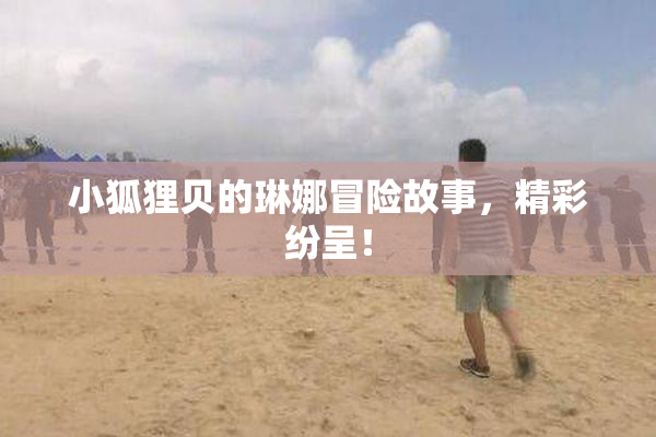 小狐狸贝的琳娜冒险故事，精彩纷呈！