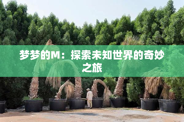 梦梦的M：探索未知世界的奇妙之旅