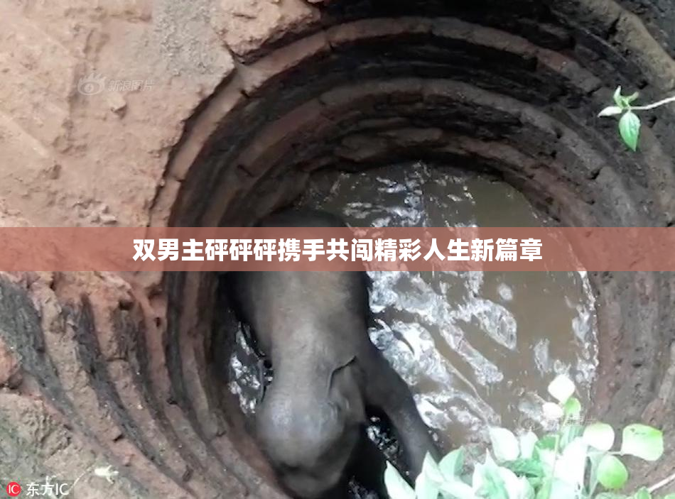 双男主砰砰砰携手共闯精彩人生新篇章