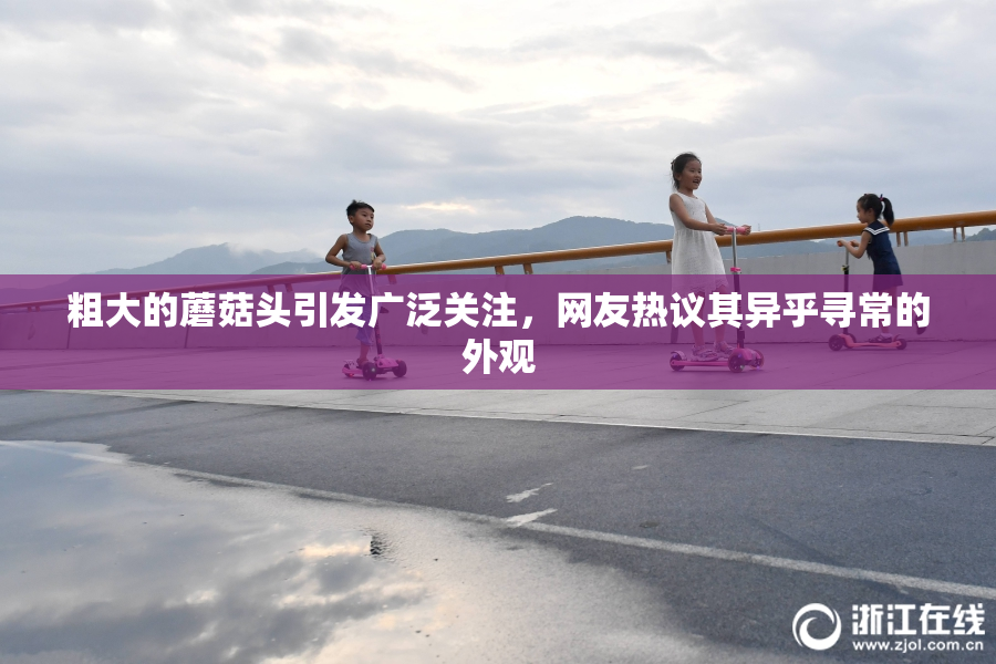 粗大的蘑菇头引发广泛关注，网友热议其异乎寻常的外观