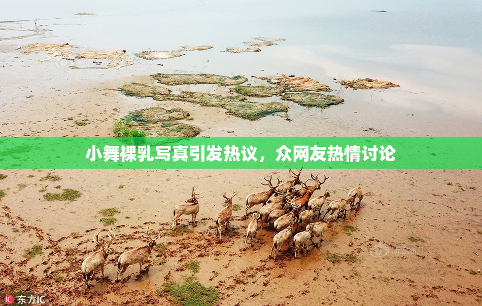 小舞裸乳写真引发热议，众网友热情讨论