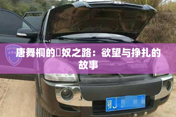 唐舞桐的婬奴之路：欲望与挣扎的故事