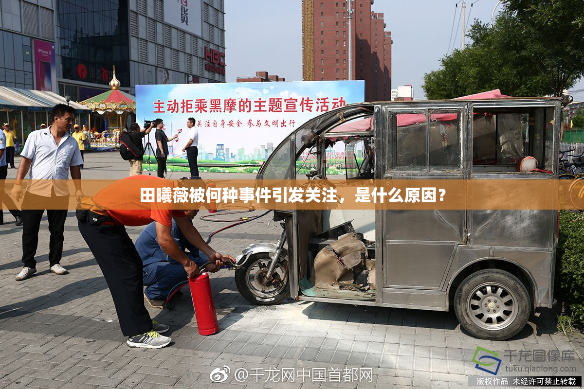 田曦薇被何种事件引发关注，是什么原因？