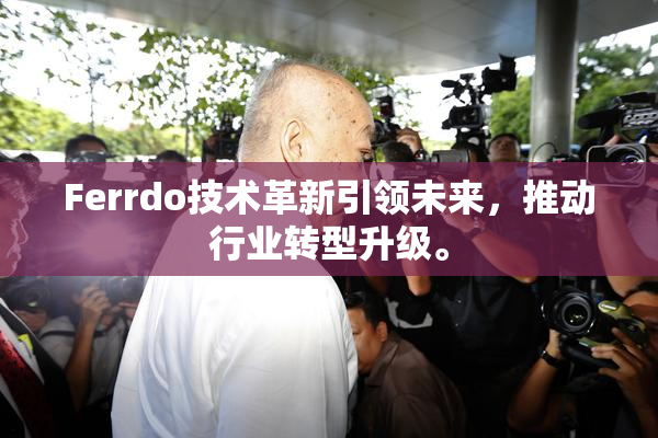 Ferrdo技术革新引领未来，推动行业转型升级。