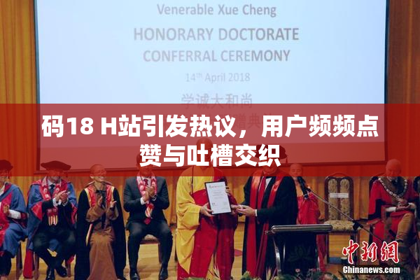 码18 H站引发热议，用户频频点赞与吐槽交织
