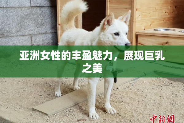 亚洲女性的丰盈魅力，展现巨乳之美