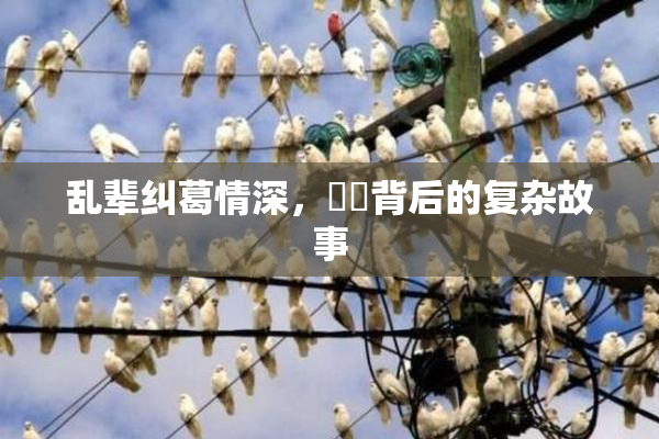 乱辈纠葛情深，亂倫背后的复杂故事