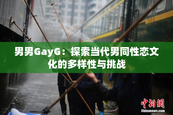 男男GayG：探索当代男同性恋文化的多样性与挑战