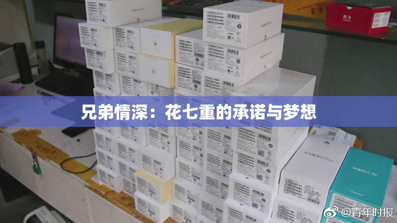 兄弟情深：花七重的承诺与梦想