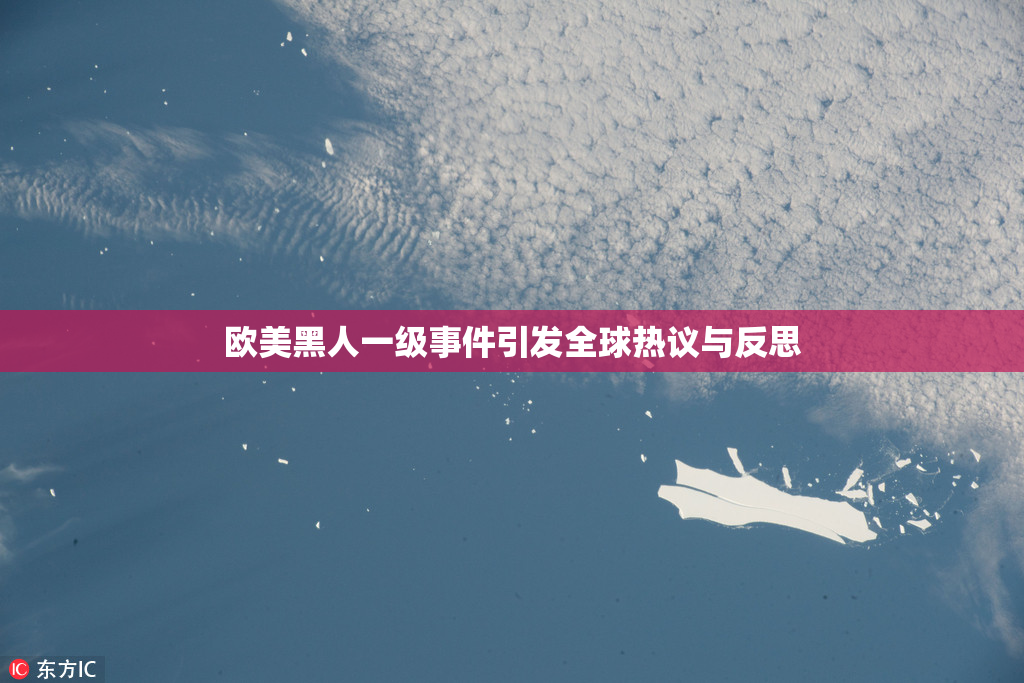 欧美黑人一级事件引发全球热议与反思