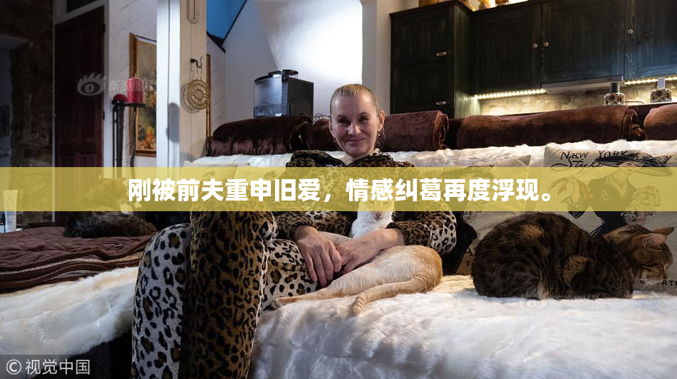 刚被前夫重申旧爱，情感纠葛再度浮现。