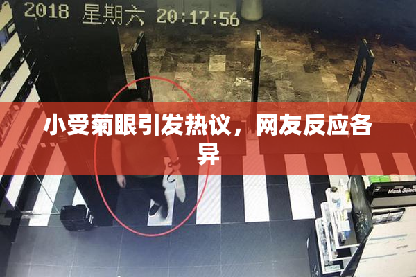 小受菊眼引发热议，网友反应各异