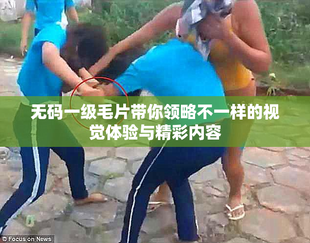 无码一级毛片带你领略不一样的视觉体验与精彩内容