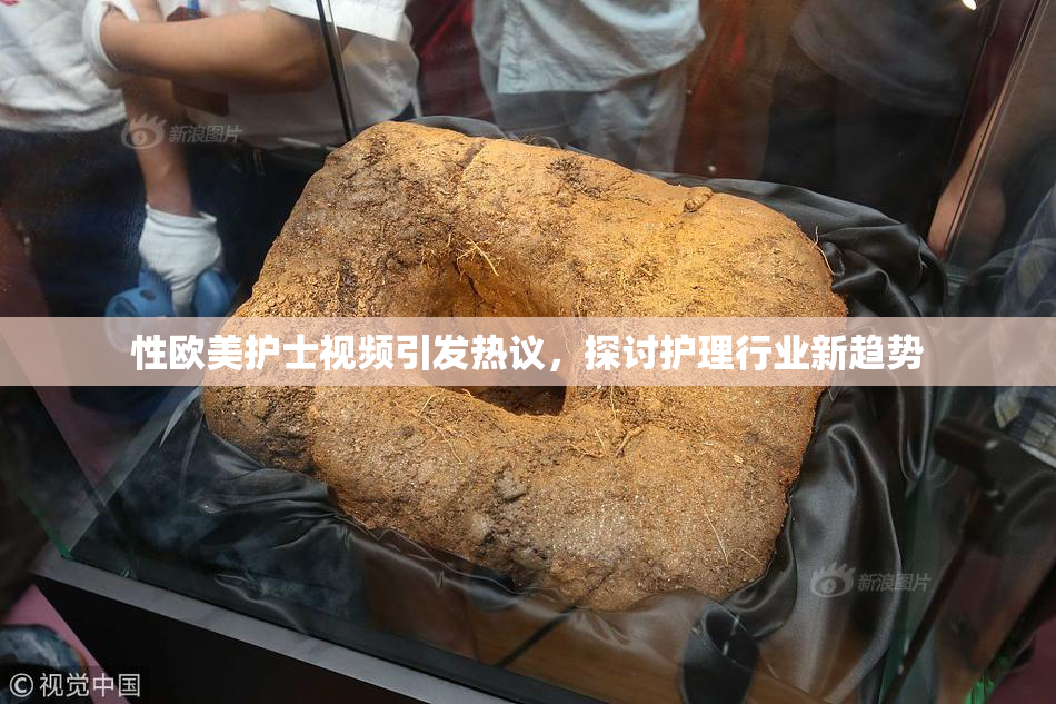性欧美护士视频引发热议，探讨护理行业新趋势