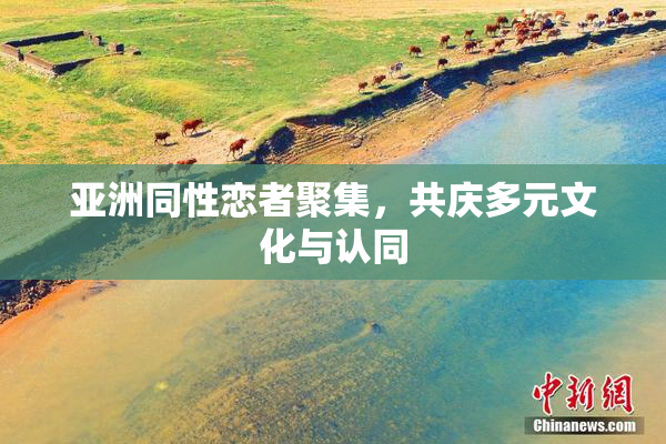 亚洲同性恋者聚集，共庆多元文化与认同