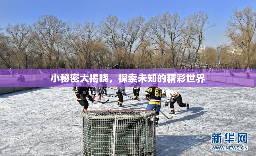 小秘密大揭晓，探索未知的精彩世界