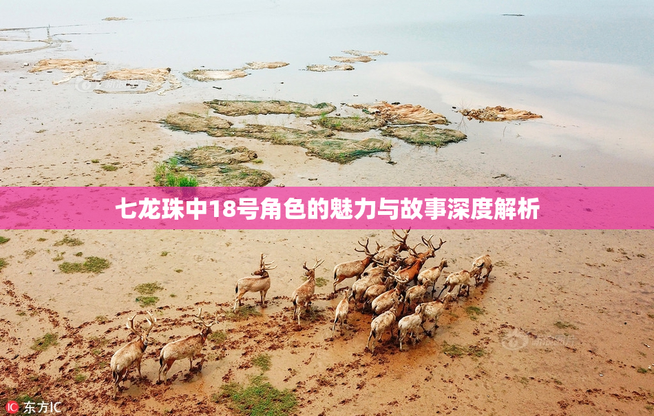 七龙珠中18号角色的魅力与故事深度解析