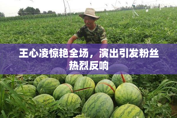 王心凌惊艳全场，演出引发粉丝热烈反响