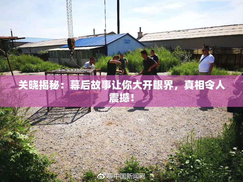 关晓揭秘：幕后故事让你大开眼界，真相令人震撼！