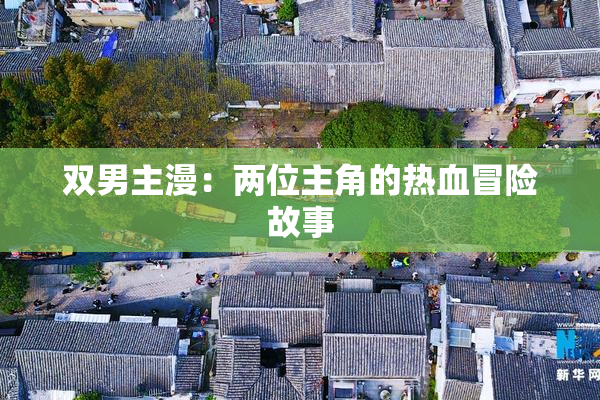 双男主漫：两位主角的热血冒险故事